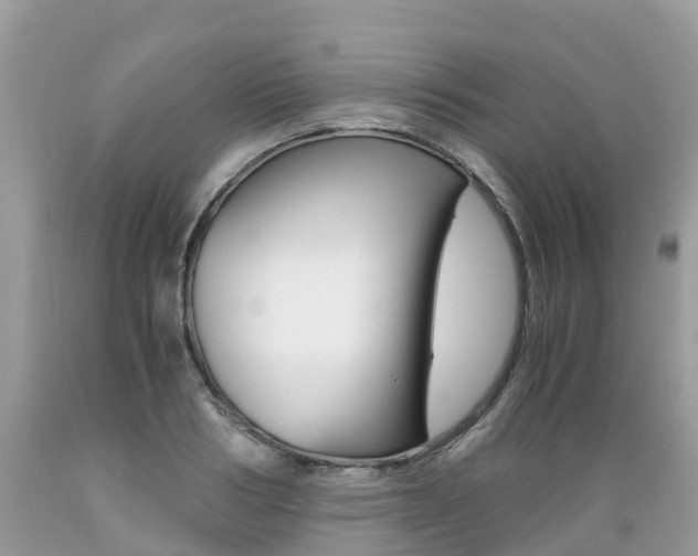X0000089670986200706210749
