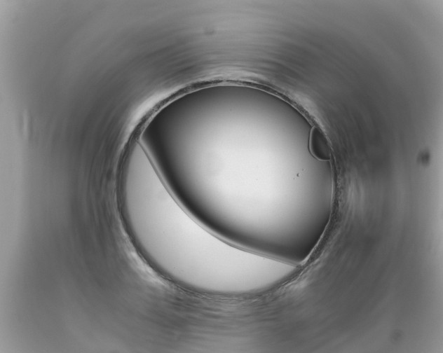 X0000089670987200706210749