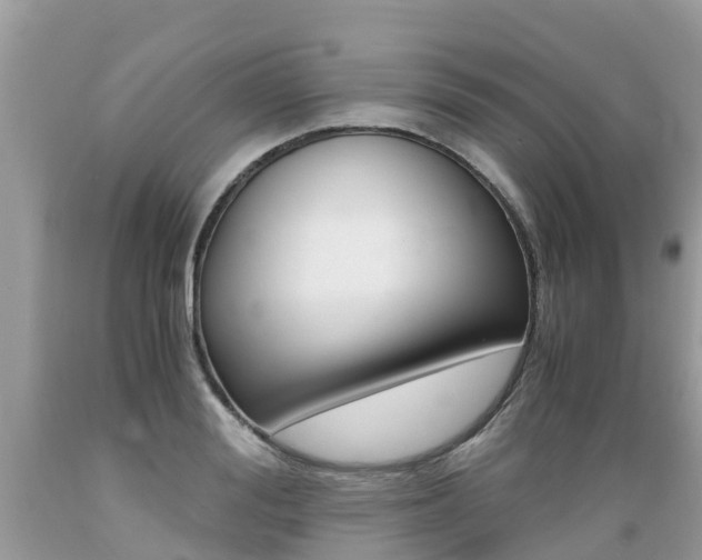 X0000089670988200706210749