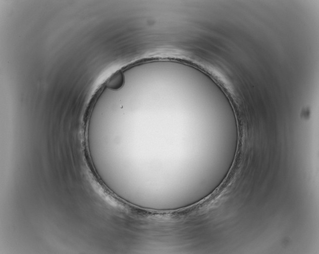 X0000089670990200706210749