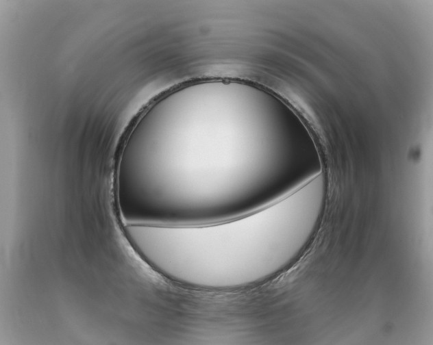 X0000089670992200706210749