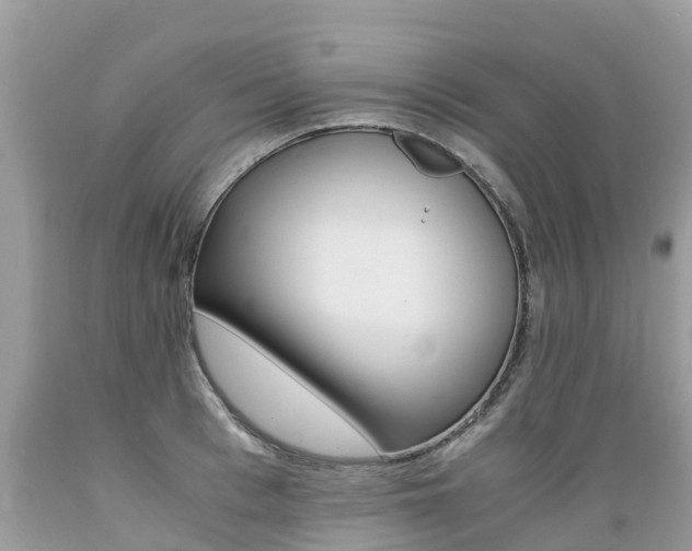 X0000089670993200706210749