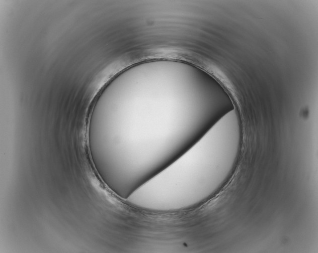 X0000089670994200706210749
