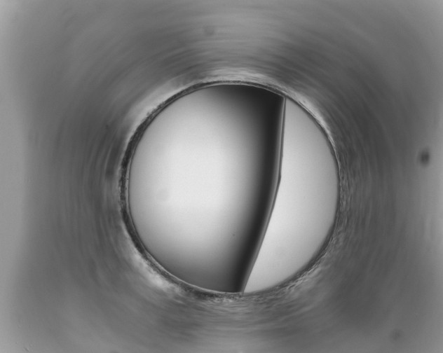 X0000089670995200706210749