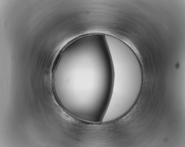 X0000089670996200706210749