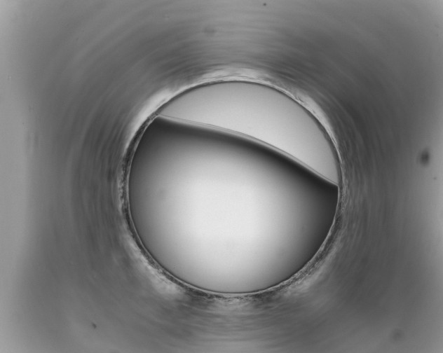 X0000089670997200706210749