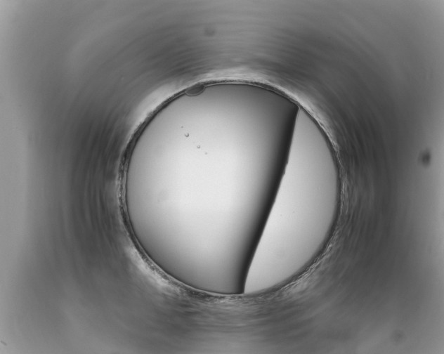 X0000089670998200706210749