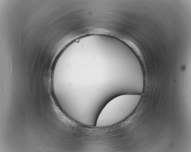 X0000089671000200706210749