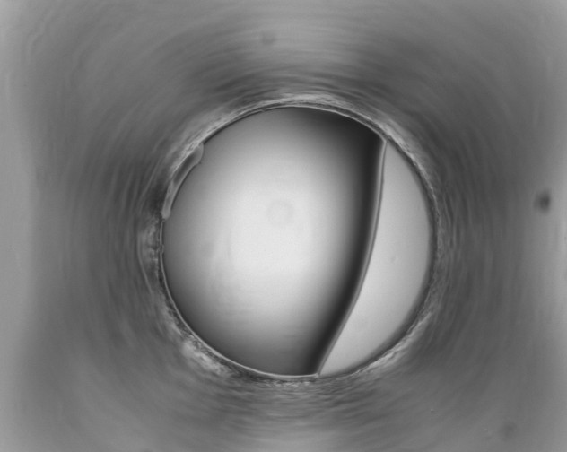 X0000089671001200706210749