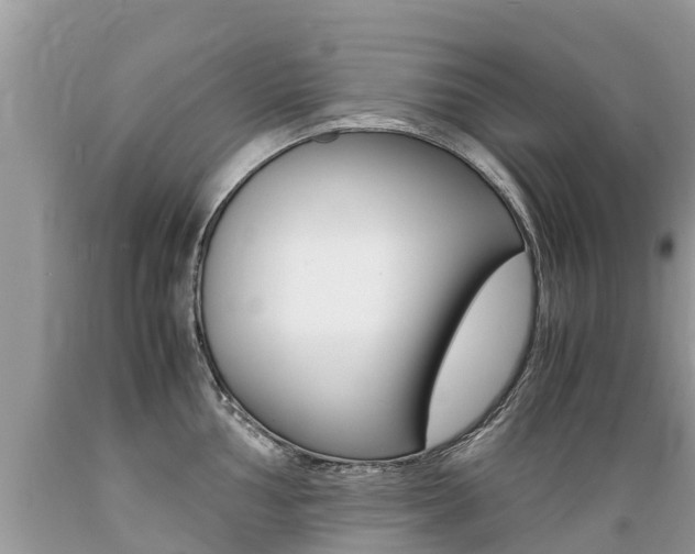 X0000089671002200706210749