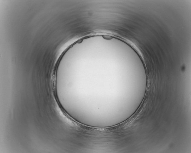 X0000089671003200706210749
