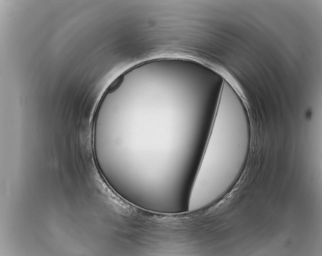 X0000089671004200706210749