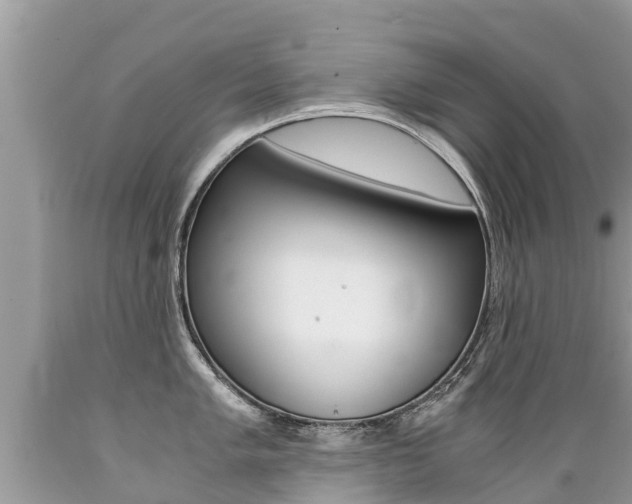 X0000089671005200706210749