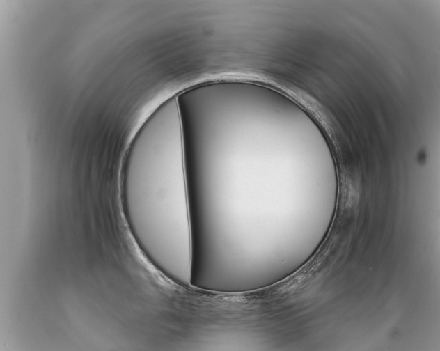 X0000089671006200706210749