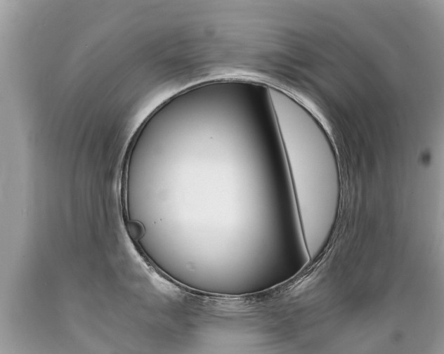 X0000089671007200706210749