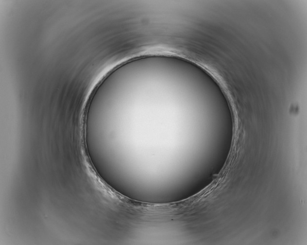 X0000089671008200706210749