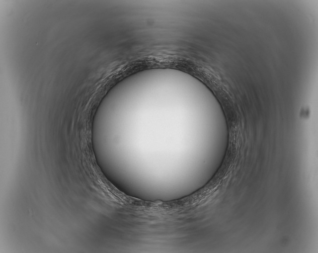 X0000089671009200706210748