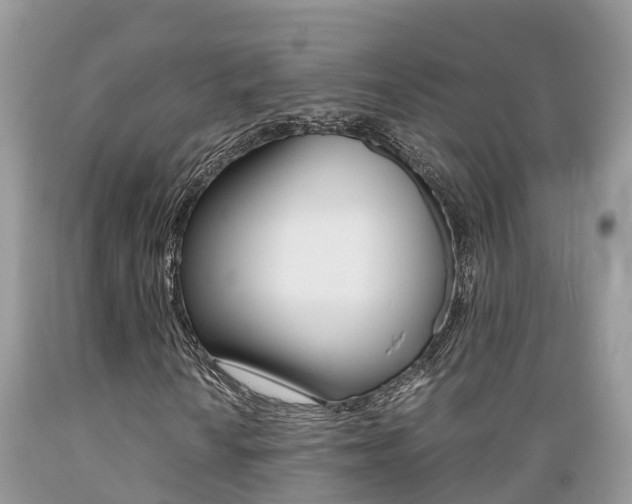 X0000089671010200706210748