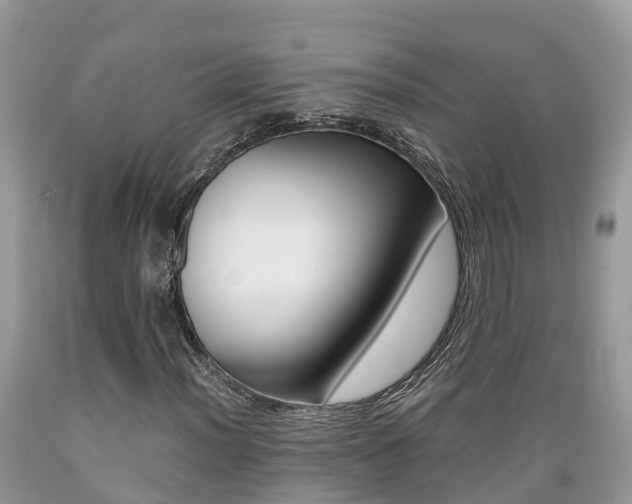 X0000089671012200706210748
