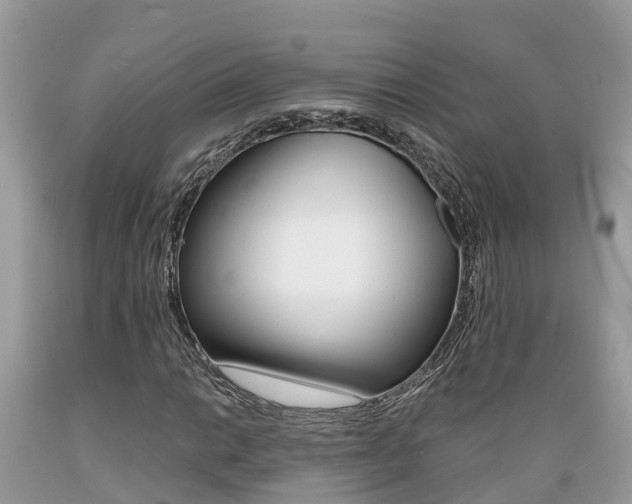 X0000089671014200706210748