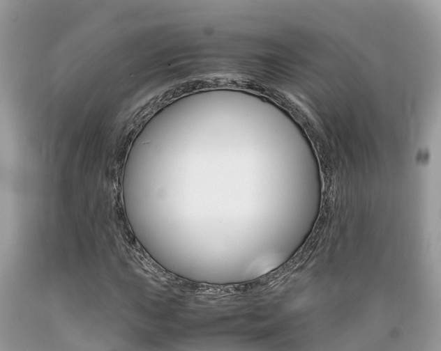 X0000089671015200706210748