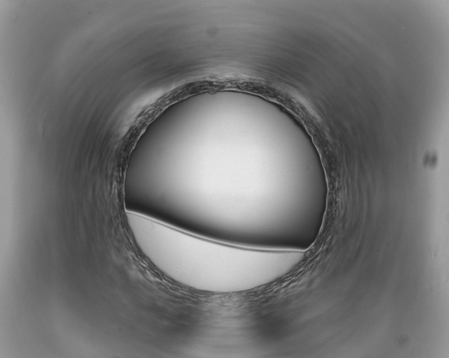 X0000089671016200706210748