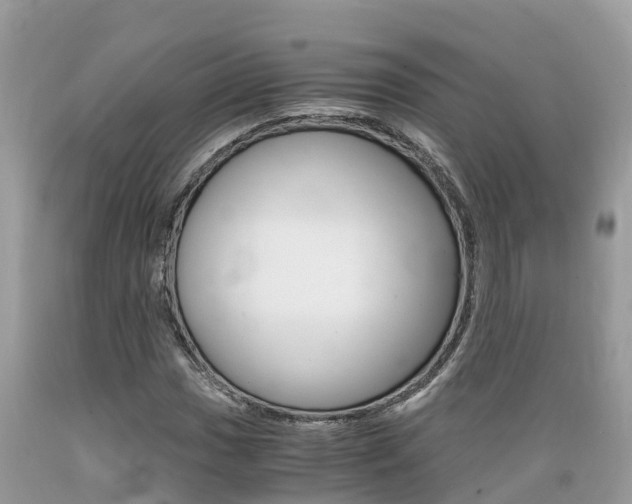 X0000089671017200706210748