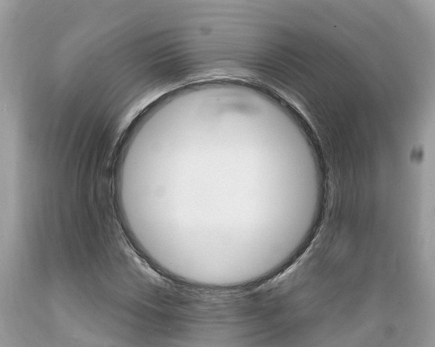 X0000089671018200706210748