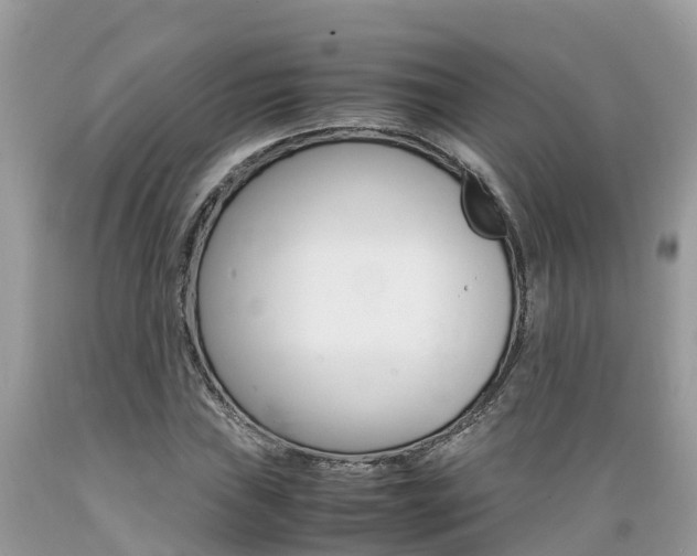 X0000089671019200706210748