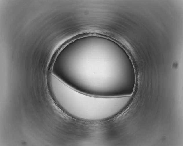 X0000089671020200706210748