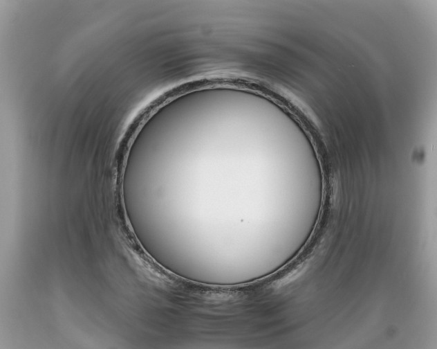 X0000089671021200706210748