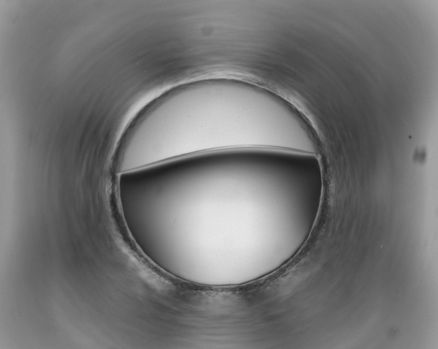 X0000089671024200706210748