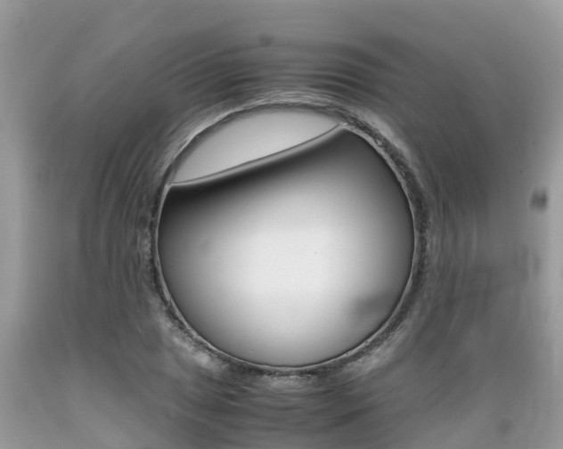 X0000089671025200706210748