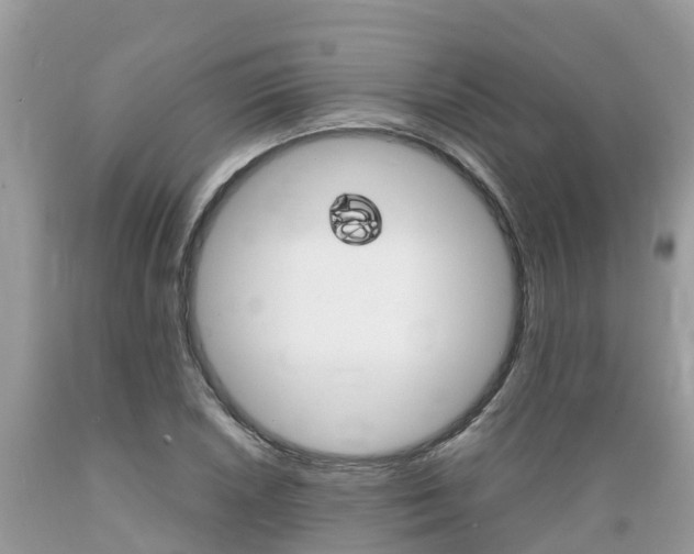 X0000089671026200706210748