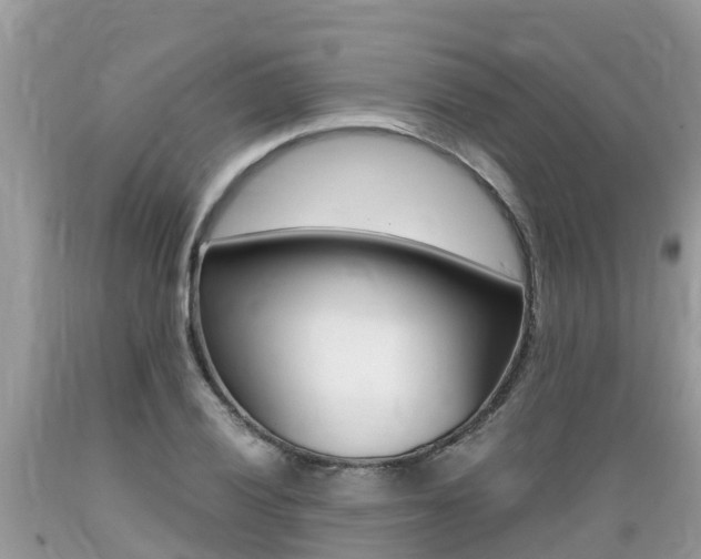 X0000089671028200706210748