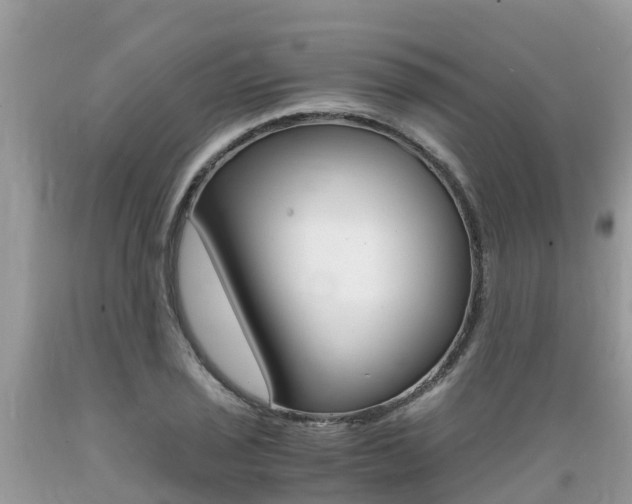 X0000089671029200706210748