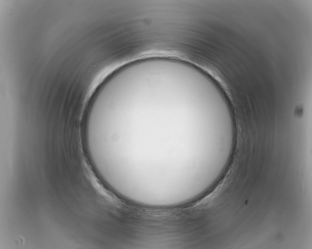 X0000089671030200706210748