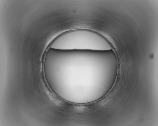 X0000089671031200706210748