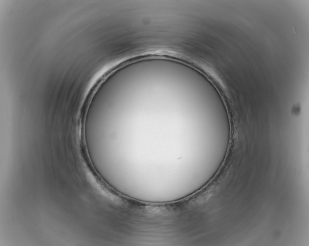 X0000089671032200706210748