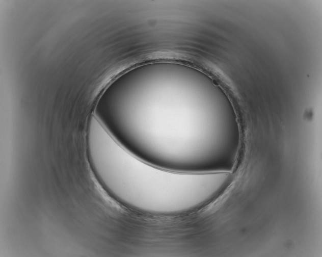 X0000089671033200706210748
