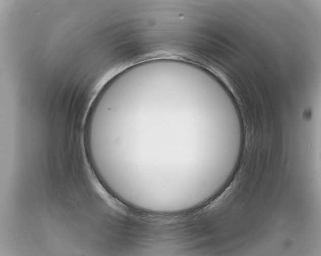 X0000089671034200706210748
