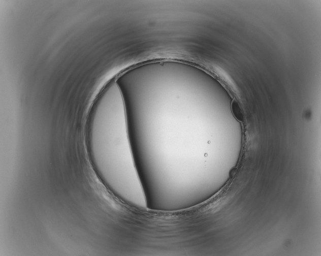 X0000089671035200706210748