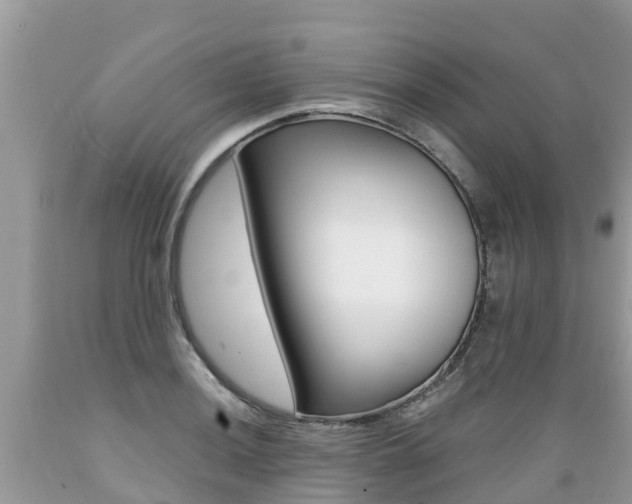 X0000089671036200706210748