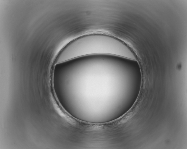 X0000089671038200706210748