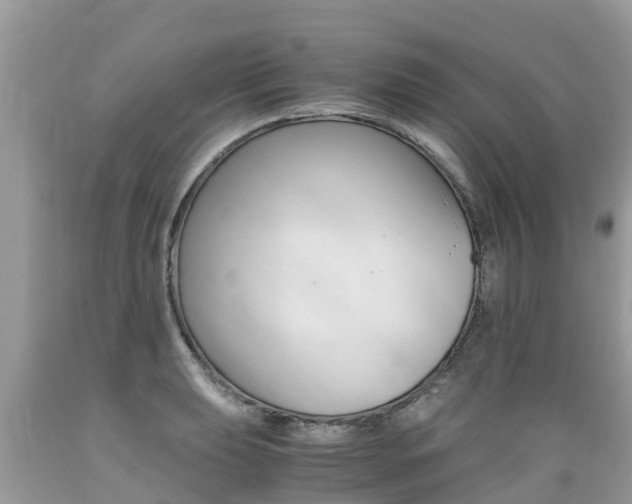 X0000089671039200706210748