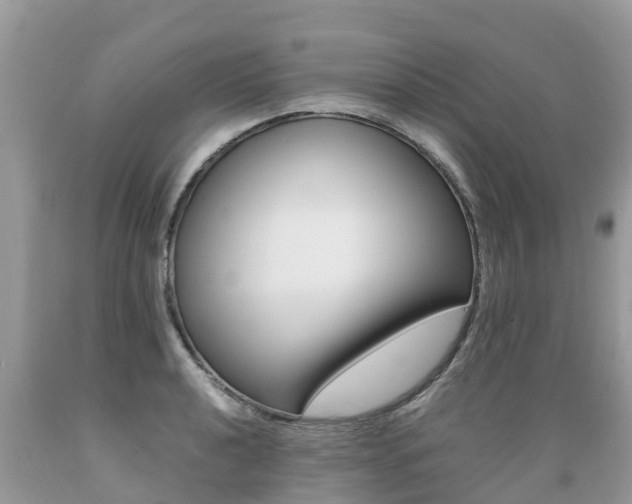 X0000089671040200706210748
