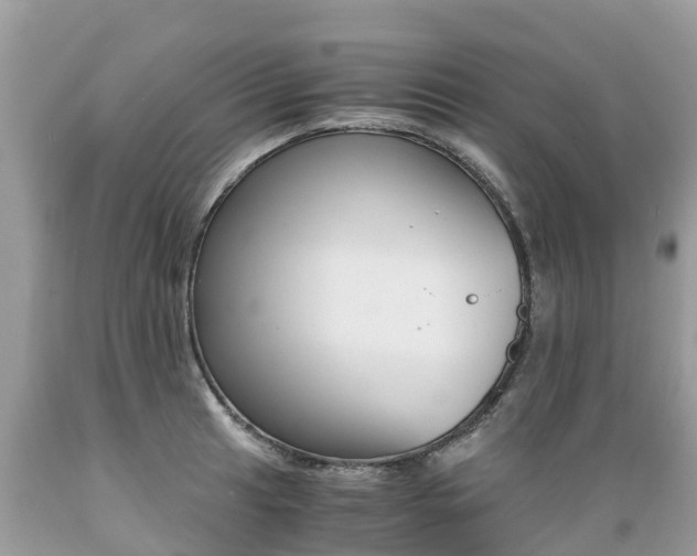 X0000089671041200706210749