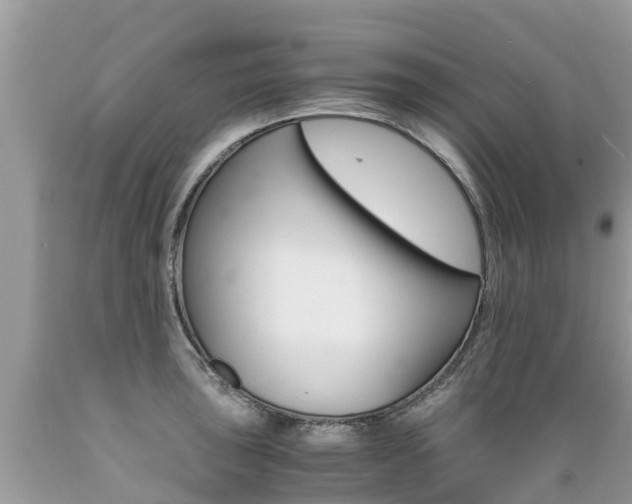 X0000089671043200706210749