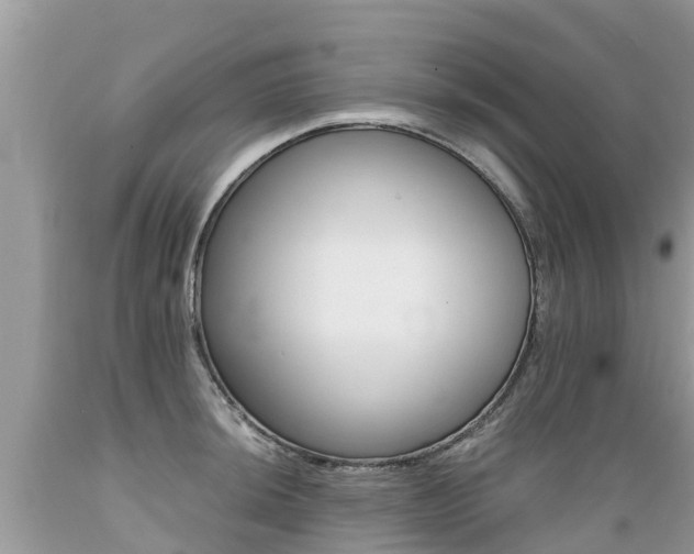 X0000089671044200706210749