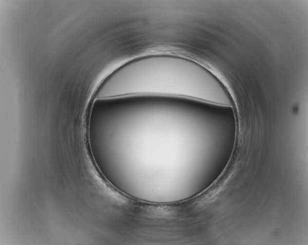 X0000089671045200706210749